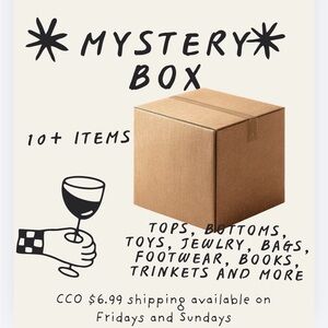 Mystery Box with 10+ Items